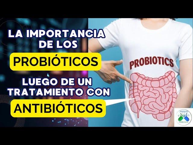 Que Son Los PROBIÓTICOS Y Sus BENEFICIOS Después De Los ANTIBIÓTICOS. | FARMAORIÉNTATE |