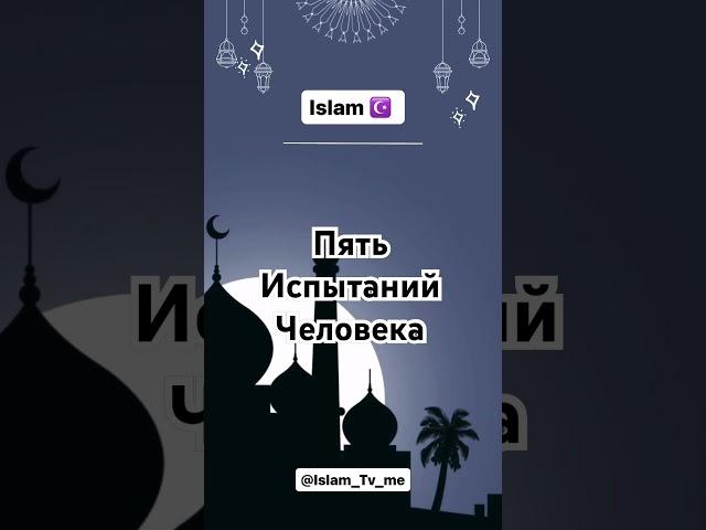 Пять испытаний человека #allah #quran #shorts #dua #испытания #мудрость