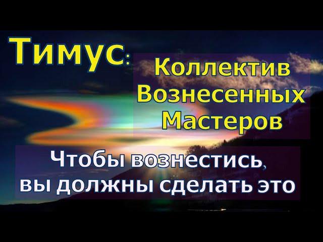 Чтобы вознестись, вы должны сделать это ∞Тимус: Коллектив Вознесенных Мастеров