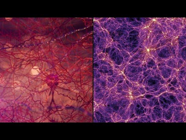 Unveiling the Universe: Is Everything Alive?