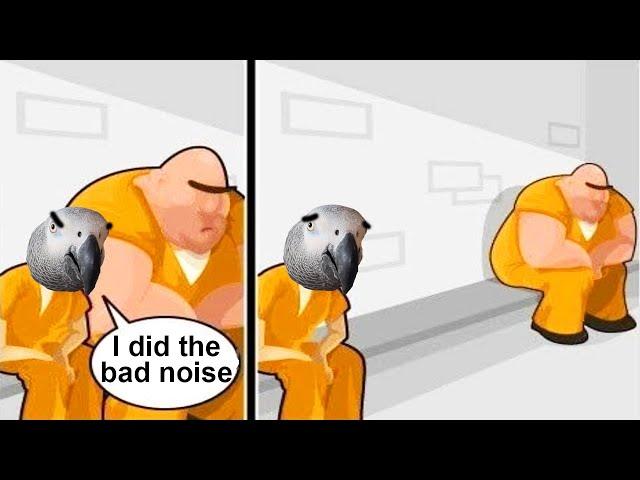 Parrot Jailed for Bad Noise