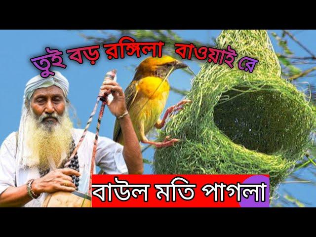 মতি পাগলার গান তুই বড় রঙ্গিল বাওয়াইরে #sns1media #baul gaan