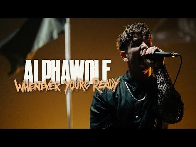 Alpha Wolf - Whenever You're Ready (OFFICIAL MUSIC VIDEO)