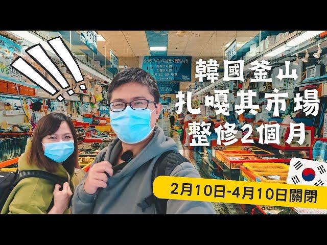 023韓國釜山現況！扎嘎其海鮮市場停業2個月，只好怒吃外圍盲鰻烤魚海鮮鍋