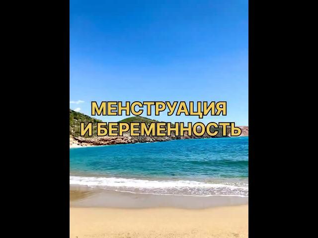 Менструация и беременность