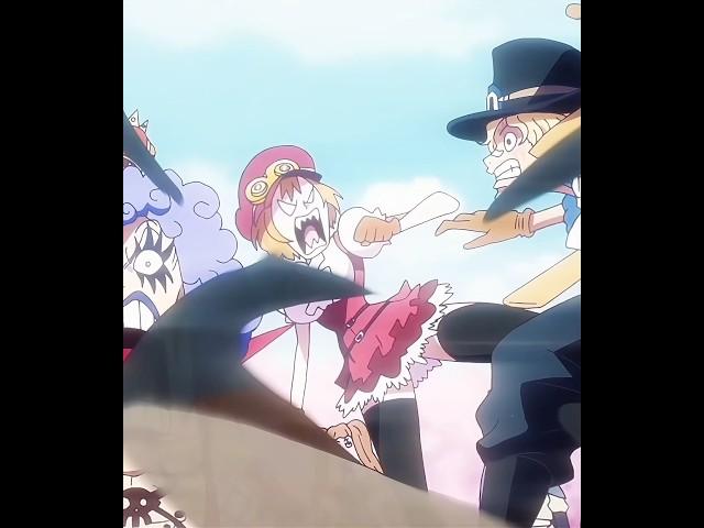 Why do these brothers always choose the strongest women  #luffy #nami #sabo #onepiece