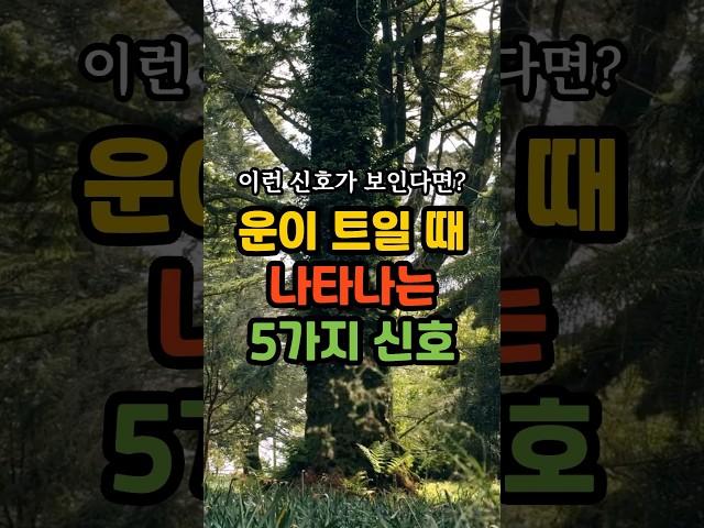 운이 트일때 나타나는 신호 #대운 #길운 #좋은글