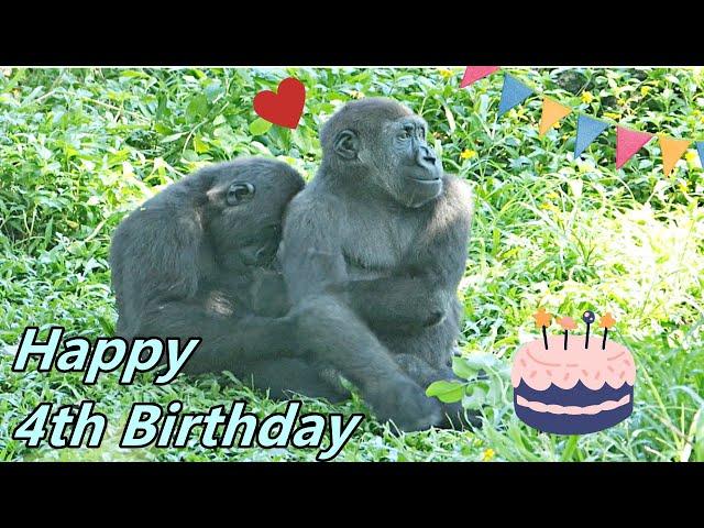 Happy 4th birthday to Jabali~祝福Jabali四歲生日快樂!!