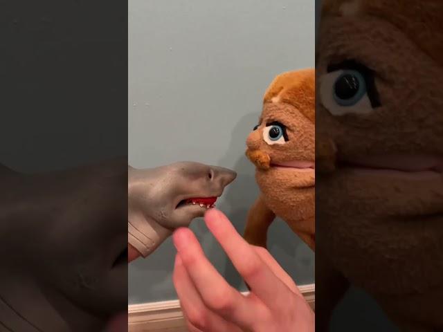 Skipper’s chiropractor! #funny #cringe #chiropractor #asmr #memes #comedy #shorts #shark