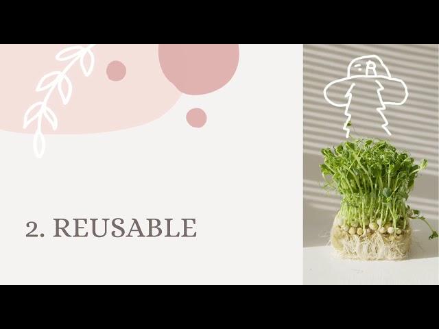 EcoTips Short  by Batrisyia 2 Alk