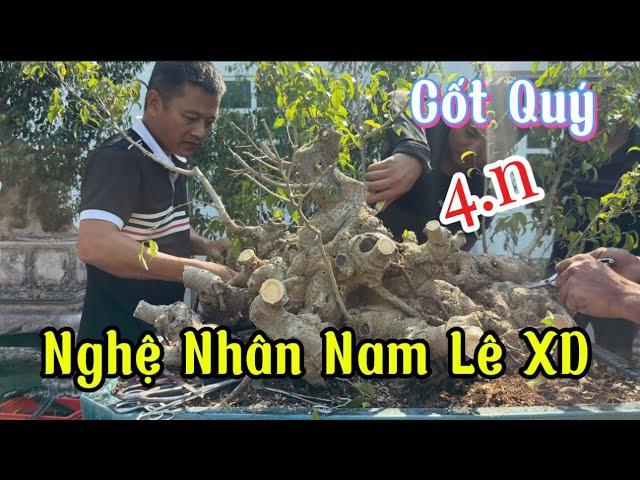 Quảng Tùng| Chia sẻ Quý vị một cốt sanh QUÝ của anh Bonsai Lễ đã được nghệ nhân Nam Lê Xd được 4n