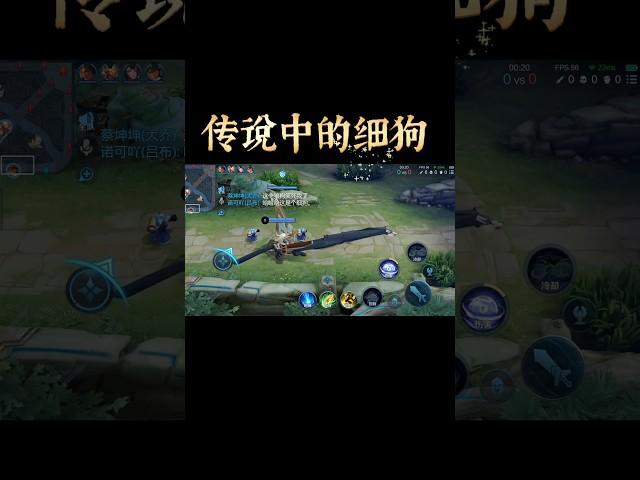 哇靠，这不就是传说中的细狗吗…