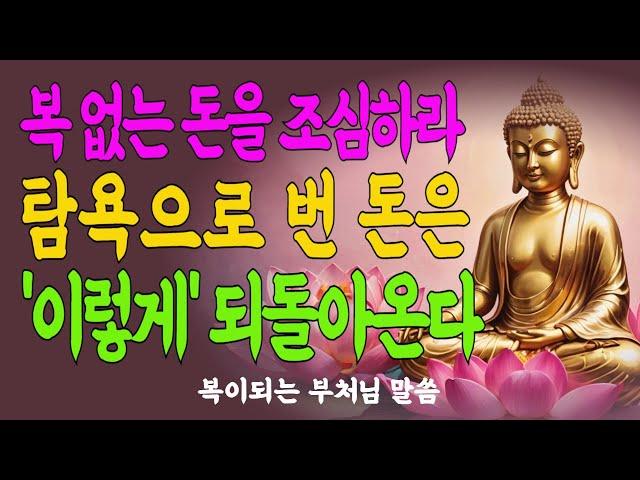 돈을 좇다, 마음을 잃다 #재물의지혜#자비로운삶#돈과마음 #불안에서벗어나기 #명상법문 #마음치유#내면의부자 #삶의지혜 #불교명상 #오디오북