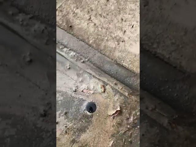 Emergency Fire Service Water Leak Detection in Heidelberg