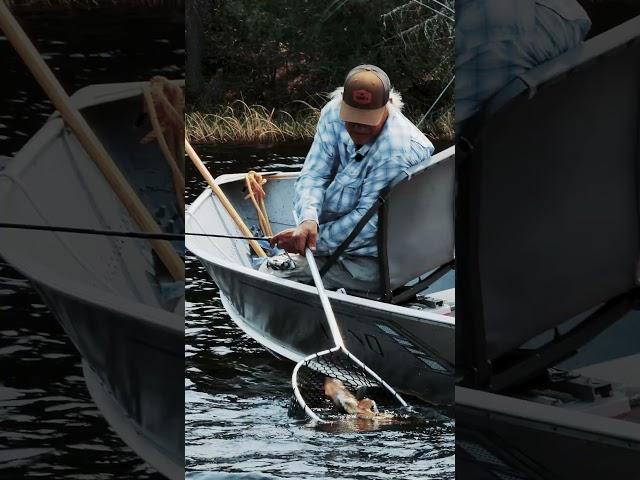 Fish & laughs on a remote fly-in lake in Ontario! #fishing #webseries #walleye