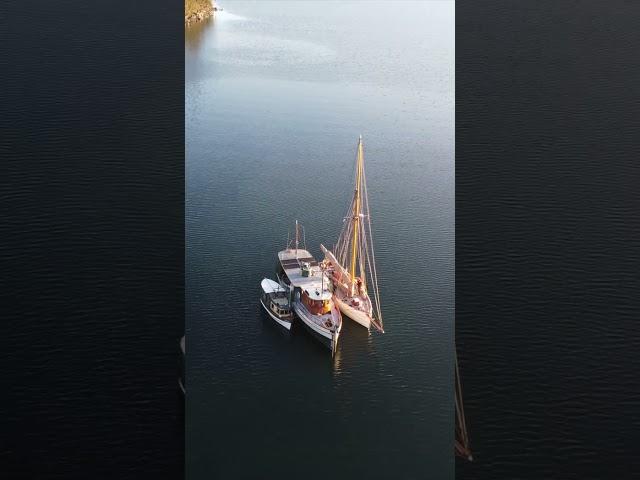 Become part of the history of Argonaut II