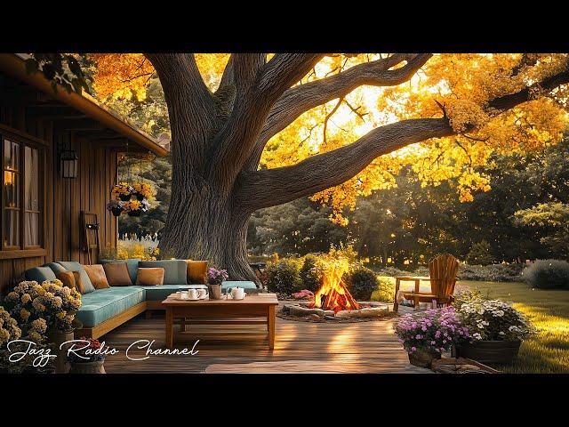 Autumn Garden Backyard under The Old Tree with Relaxing Jazz Music for Good Vibes 