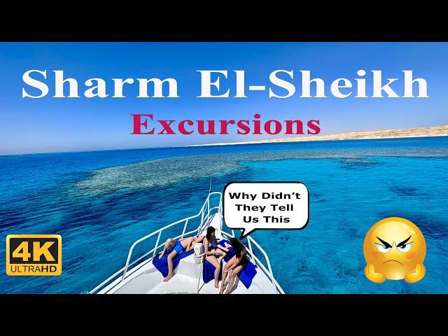 Sharm El-Sheikh Excursions. Why didn't they tell us this