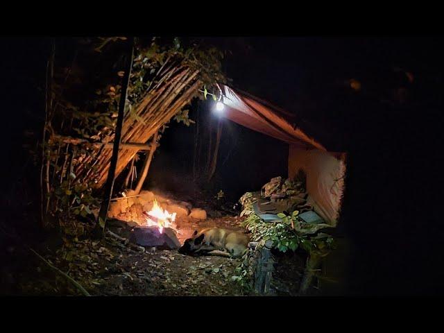 4 days solo bushcraft camp: Survival skills, fire roof, wild camping, tarp shelter, asmr PART: 2