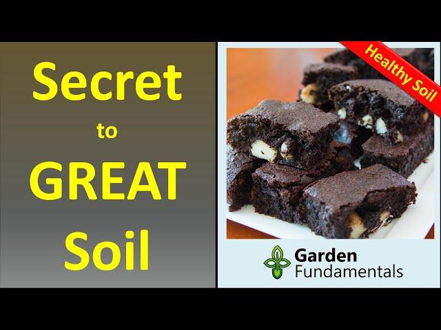 The Secret to Great Soil  What is it and how do you improve it?