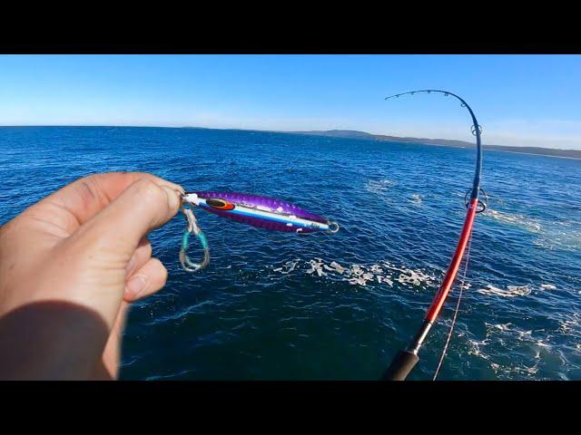 Shore Jigging For Pelagic Fish (Ticking Off Bucket List Species)