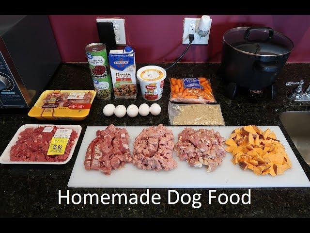 Best Homemade Dog Food Video - From A Past Vet Tech!