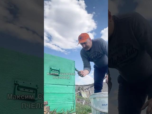 Начинаем восстановление ульев: покраска и подготовка к сезону!