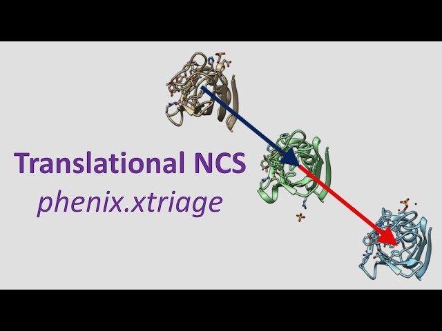 Advanced Tutorial phenix.xtriage - translational NCS (tNCS)