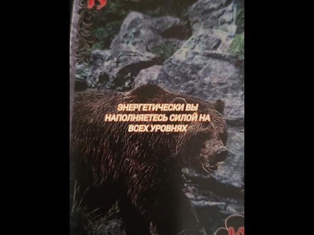 Очищение тела #shorts #терапия #психотравма #подсознание #регрессия #магия #ведьма #эзотерика