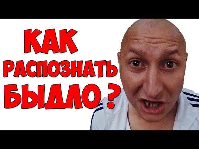 Как распознать Быдло? / Кто такие Быдло.