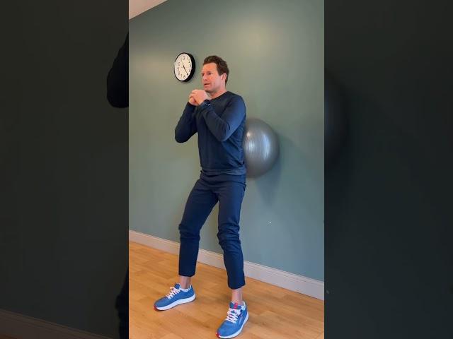 Stability Ball Wall Squat