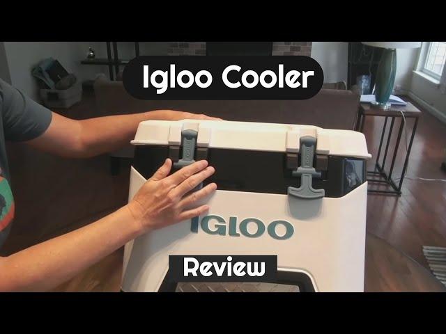 Top Rated Igloo Cooler 25QT