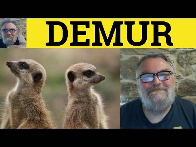  Demur Meaning - Demur Examples - Demur in a Sentence - Vocabulary for IELTS - Demur