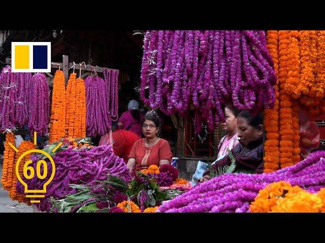 The Nepali women behind village's blooming business