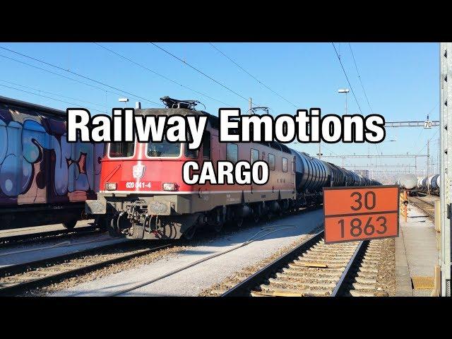  Cab ride on a jet fuel freight train to Zurich Airport (Cab Ride Switzerland | Basel - Glattbrugg)