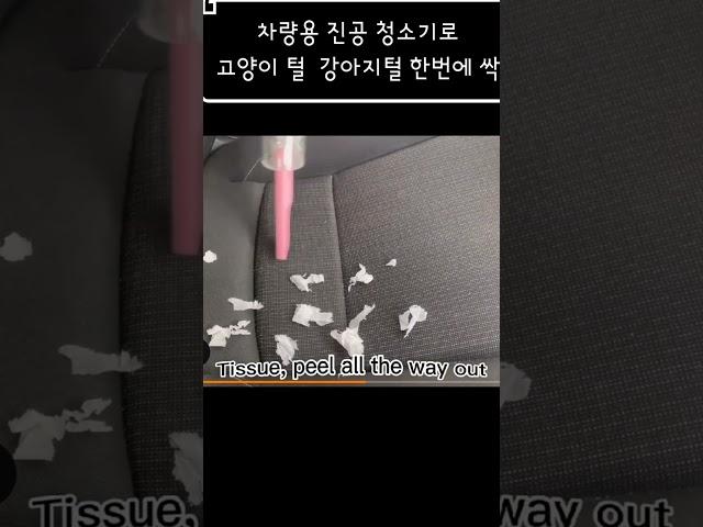 차량용 진공 청소기로고양이 털  강아지털 한번에 싹