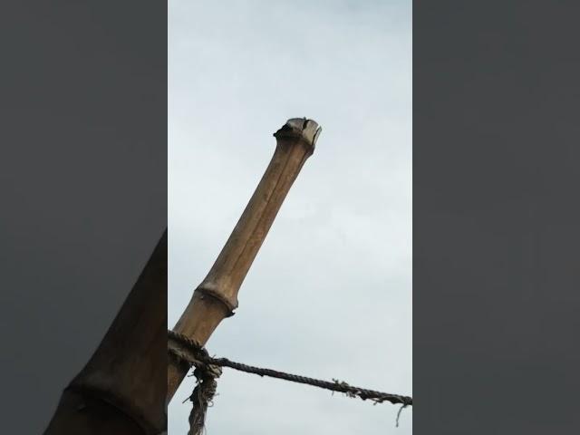 sad video