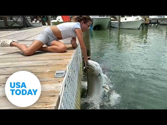 Girl's arm almost swallowed by hungry fish | USA TODAY