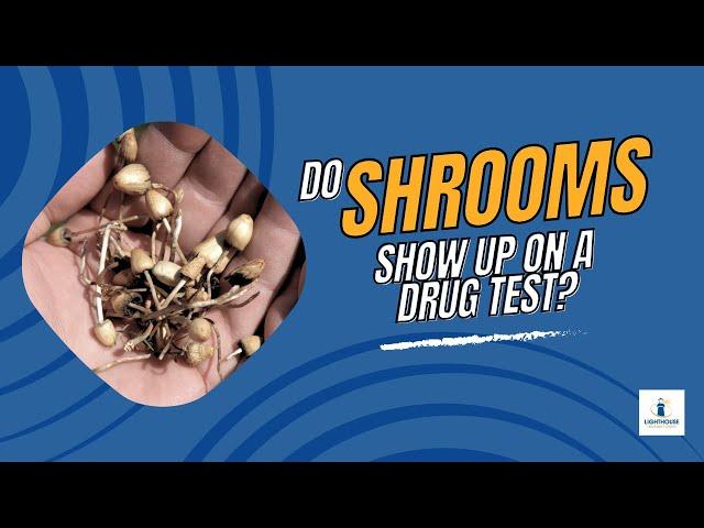 Do Shrooms Show Up on a Drug Test?