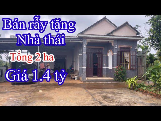 (Đã Bán)))rẫy tặng nhà thái to đùng tổng 2 ha cafe ôm 80m mặt đường liên thông giá rẻ