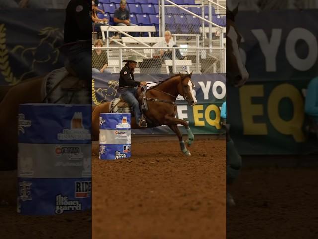 All of Hootie’s training videos are on the BTR platform—watch on the website or app! #barrelracing