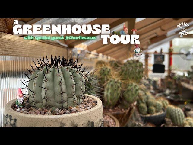 IF YOU COLLECT PLANTS STOP AND WATCH THIS: GARDEN GNOME GREENHOUSE TOUR W/ @CHARLIESUCCS