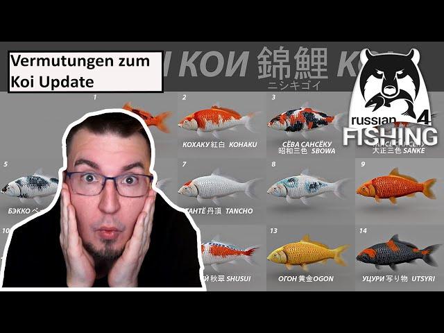 Vermutungen zum Koi Update | Russian Fishing 4 #552 | Deutsch | UwF