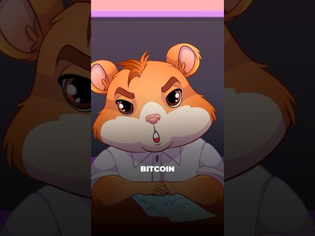 Who stays behind bitcoin? HAMSTER ACADEMY