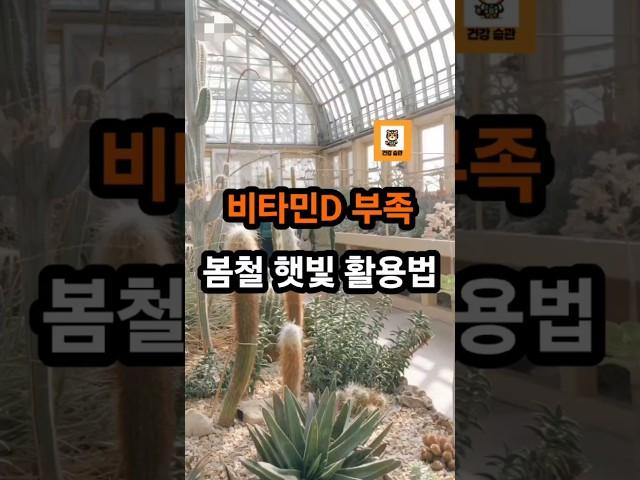 비타민D 부족 봄철 햇빛 활용법 #건강  #비타민 #산책