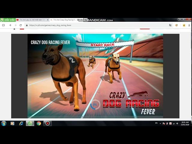 Cuộc thi đua CHÓ LỚN NHẤT LỊCH SỬ !!! Chơi thử Crazy Dog Racing Fever #serri test game Y8 P21 !!!