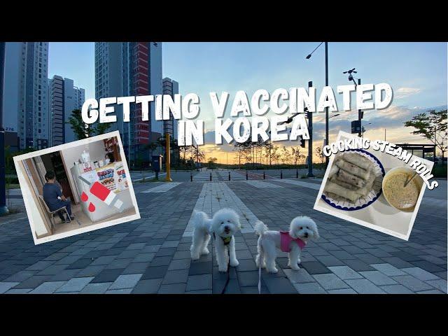 GETTING VACCINATED IN KOREA  Cooking Hmong Steam Rolls ‍ Fawm Kauv