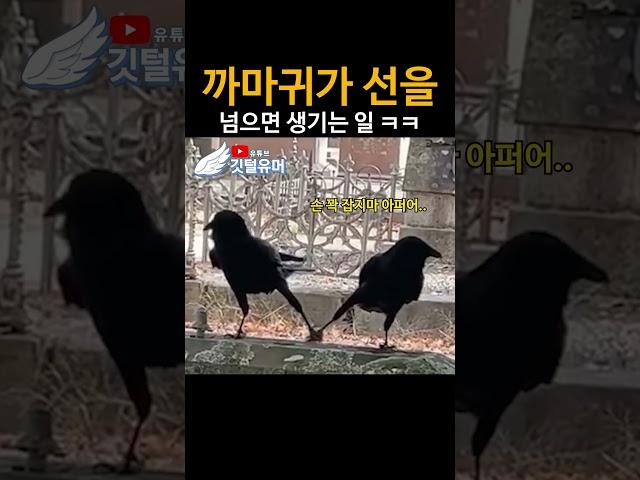 선 넘지 말라 했쨔나..