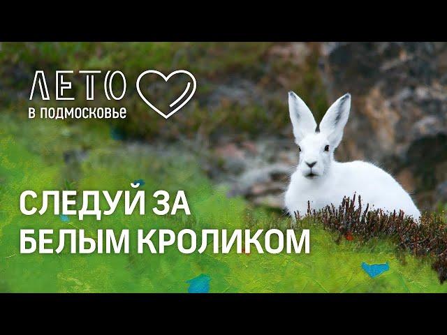 Отдых в Подмосковье - Настоящая сказка в Прованс-отеле "4 Сезона"