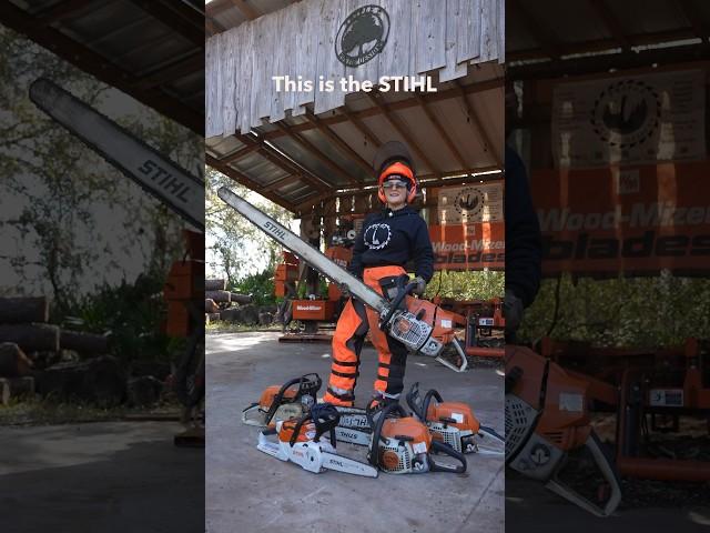 This STIHL MS 881 has a 60” bar and chain. Do you think you could handle this chainsaw!? #stihl